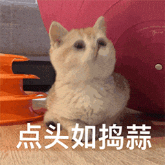 1629363102761695 ΢ÐÅͼƬ_20210819165129.gif