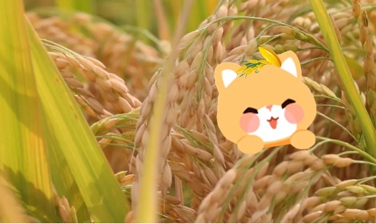 ΢�Ž�ͼ_20240104165640.png